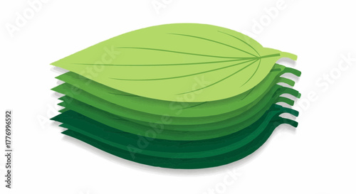 green leaves isolated on white