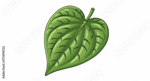 green leaves isolated on white