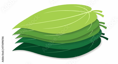 green leaves isolated on white