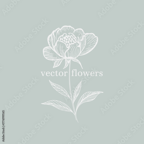 A picturesque peony flower illustration presented in a soft green background, exemplifying the beauty of nature, great for floral designs and decor projects.