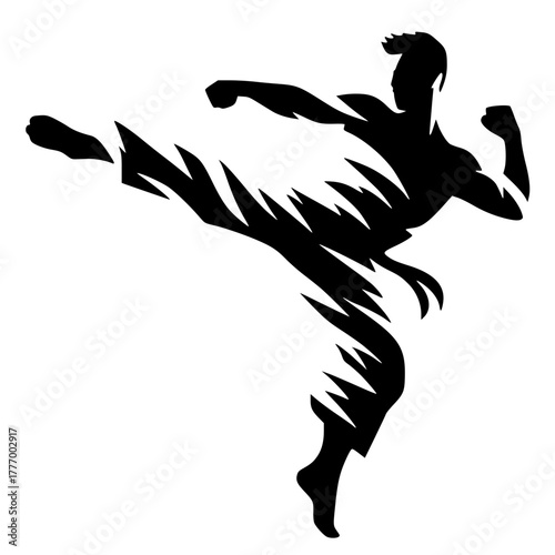 Karate silhouette vector design