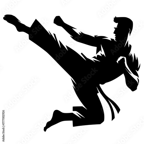 Karate silhouette vector design