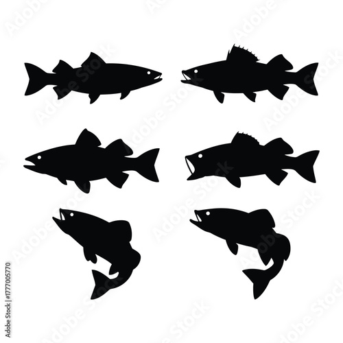 Six silhouettes of various fish species in black