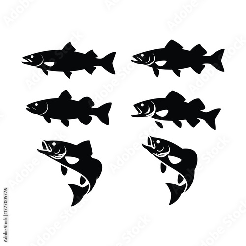 Silhouettes of six different fish species in various poses