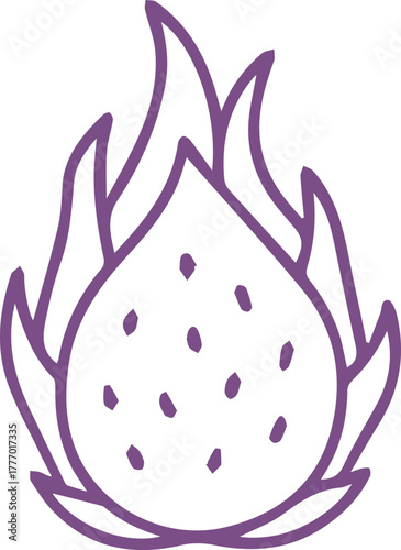 Vibrant purple dragon fruit outline illustration exotic superfood healthy snack graphic