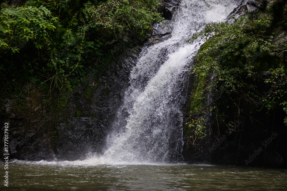 Fototapeta premium Serene Waterfall Cascading Down Rock Formation in Lush Greenery