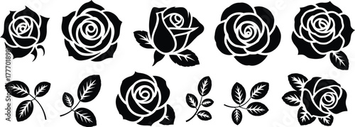 Black rose silhouettes and leaves flower white