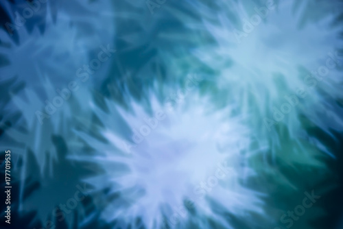 White chrysanthemum bokeh on dark background – abstract floral holiday background, front view