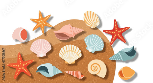 Seashells and starfish scattered on a sandy surface against a white backdrop