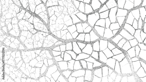 Black and white cracked surface texture with intricate network of lines and dots abstract background