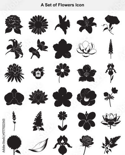 Collection of Elegant Floral Silhouettes A Diverse Set of Flower Icons and Designs