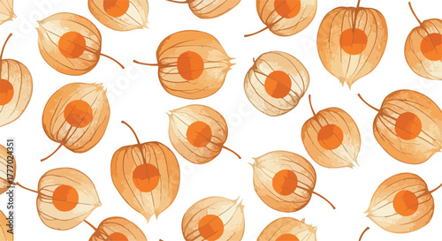 Seamless Pattern of Orange Chinese Lantern Plants on White