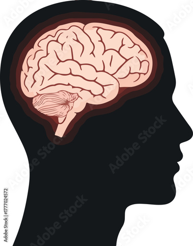 Silhouette Human Head With Detailed Pink Brain Inside Light Background