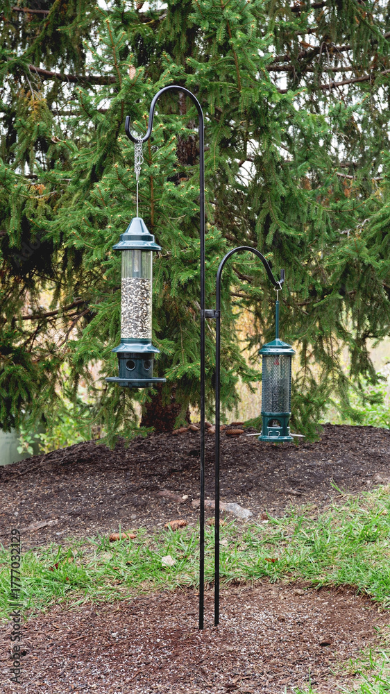 Naklejka premium Shepherds Hooks with Bird Feeders