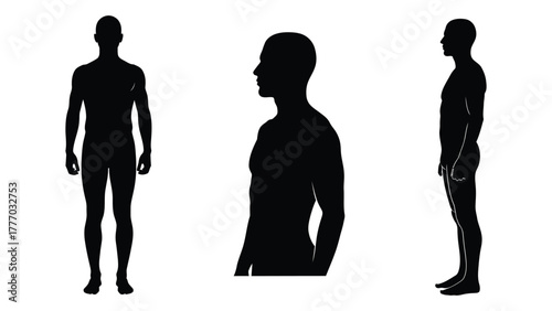 Male human silhouette views Vector