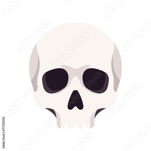 A stylized flat vector illustration of a human skull on a white background.