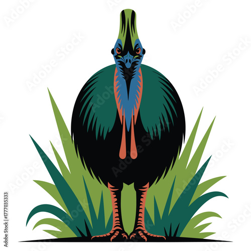 Cassowary