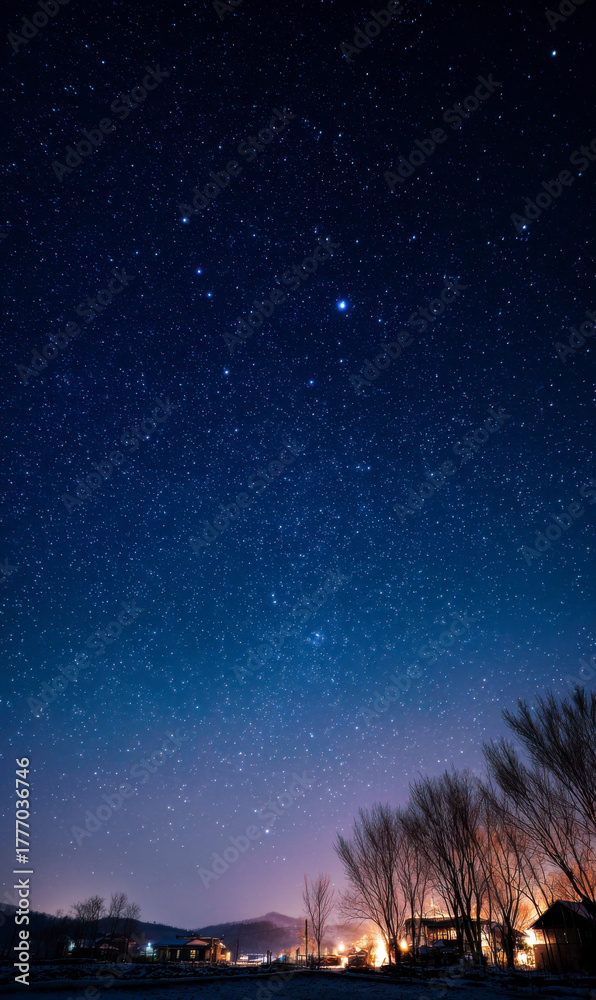 Fototapeta premium Night sky filled with countless stars, with silhouettes of trees below.