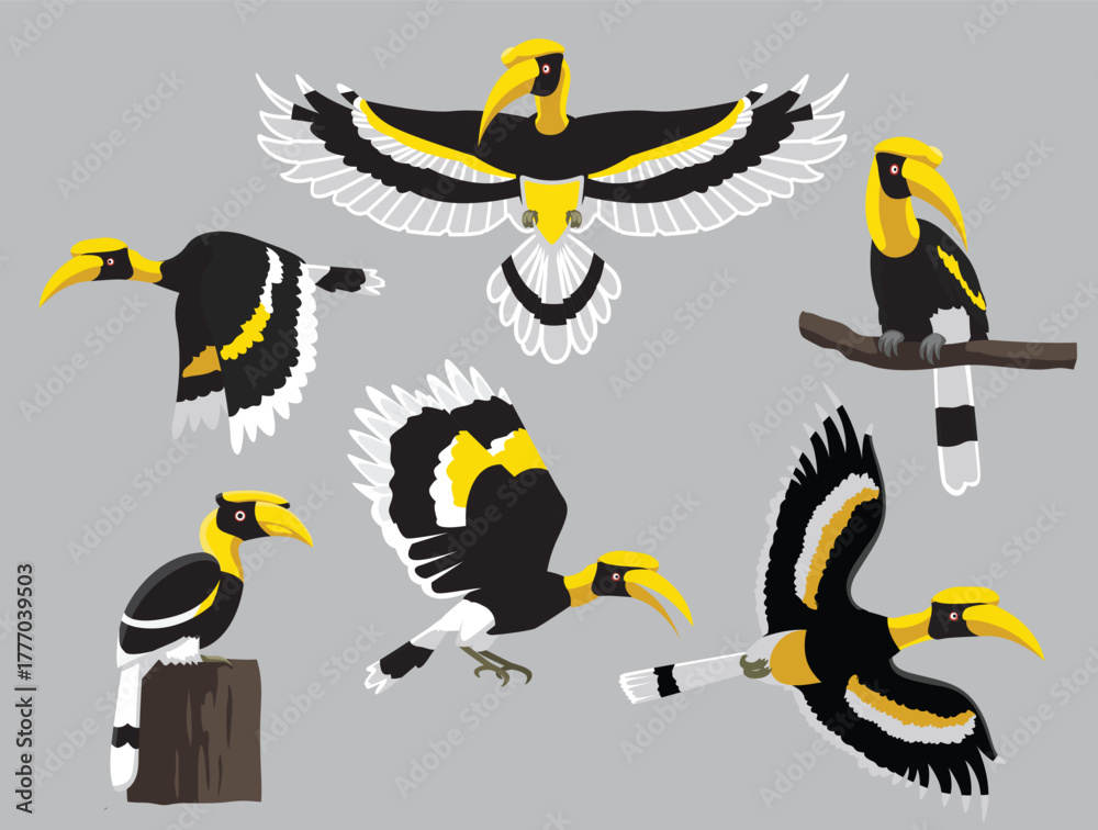 Naklejka premium Bird Great Hornbill Various Poses Flying Cartoon Vector Character