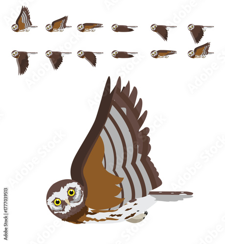 Morepork Ruru Owl Bird Flying Animation Sequence Cartoon Vector