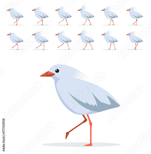 Kagu Bird Walking Motion Animation Sequence Cartoon Vector Illustration