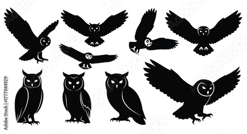 Owl silhouette vector collection flying and standing owl images