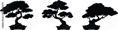 Silhouettes of Bonsai Trees in Decorative Pots Featuring Curved, Angular, and Spread Canopies for Botanical and Zen Illustration