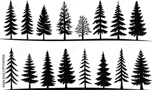Silhouettes of Coniferous Trees in Varied Shapes and Densities for Forest, Nature, and Landscape Design Illustration