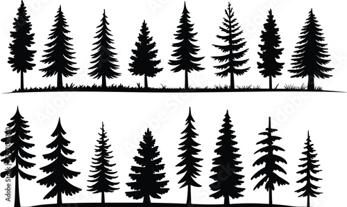 Silhouettes of Coniferous Trees in Varied Shapes and Ground Styles for Forest, Nature, and Landscape Design Illustration