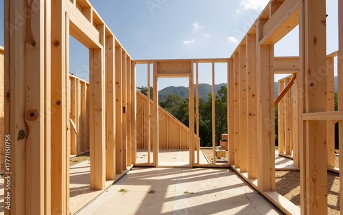 New home construction framing. High quality