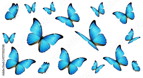 Graceful blue butterflies flutter gently against a stark black backdrop in this illustrative image.