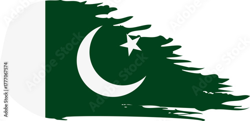 pakistan comet flag fly, grunge brush vector
