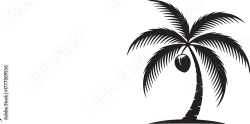Vector Graphic Black Silhouette Illustration of Tropical Coconut Palm Tree on Transparent Background Isolated
