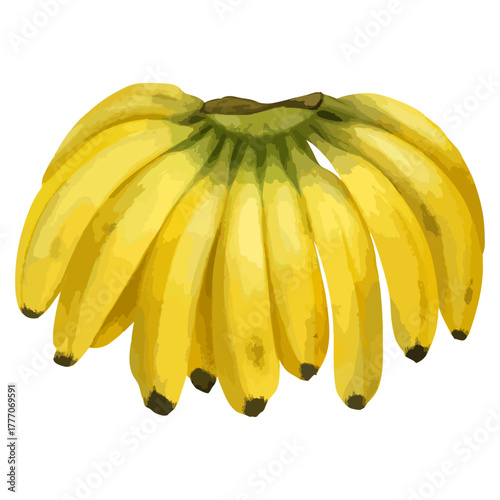 手描き水彩房バナナ