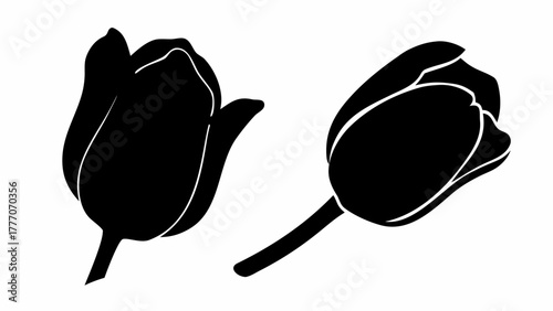 Elegant tulip blossom silhouettes, perfect for minimalist designs and spring themes, adding a touch of nature's beauty and simple sophistication to any project