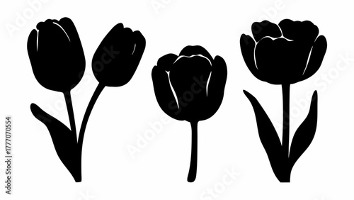 Elegant tulip silhouettes for modern design projects, perfect for spring promotions, wedding invitations, and stylish floral accents, originally designed as vector