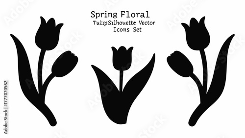 Elegant floral tulip silhouettes, ideal for spring designs, invitations, and botanical themes offering a touch of nature's beauty, originally a vector graphic