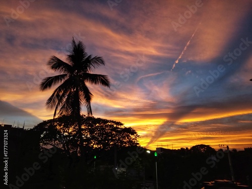 Beautiful sunset sky with palm tree silhouette and golden clouds