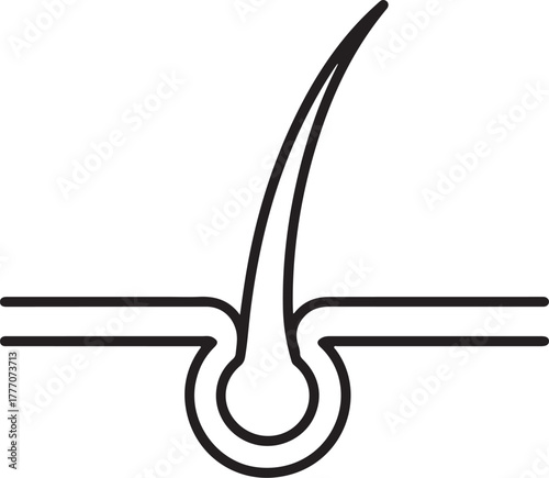 Simple line art icon of a human hair follicle and strand