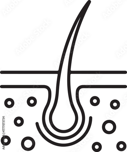 Close up microscopic view of hair follicle and skin layers