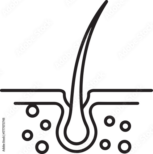 Close up microscopic view of a healthy hair follicle and strand