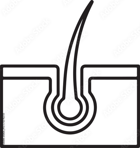 Close up illustration of a single hair follicle in skin cross section
