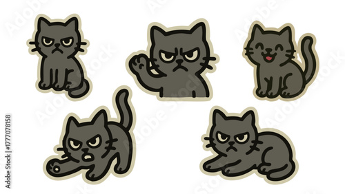 Cute gray cat vector pack