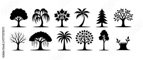 Vector set of various tree silhouettes including palm, pine, oak, and leafless trees. Ideal for nature, forestry, landscaping, and environment-themed designs.