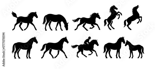 Vector illustration set of horse silhouettes in various poses including galloping, standing, and riding. Great for equestrian, sport, farm, and wild animal themes.
