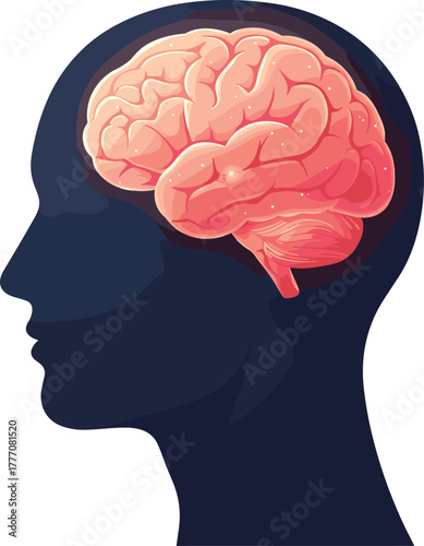 Human brain anatomy vector—side profile with glowing cerebrum and cerebellum for neuroscience, psychology, and educational themes 