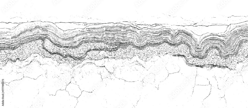 Fototapeta premium Abstract monochrome textured background with layered wavy lines and cracked surface details pattern