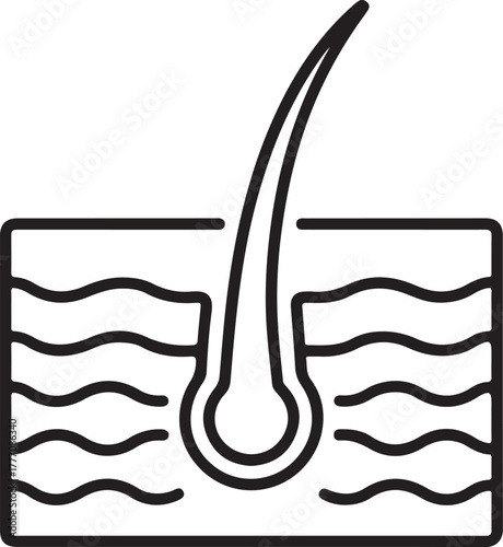 Close up illustration of a single hair follicle and strand