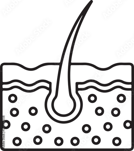 Close up illustration of human skin and hair follicle cross section