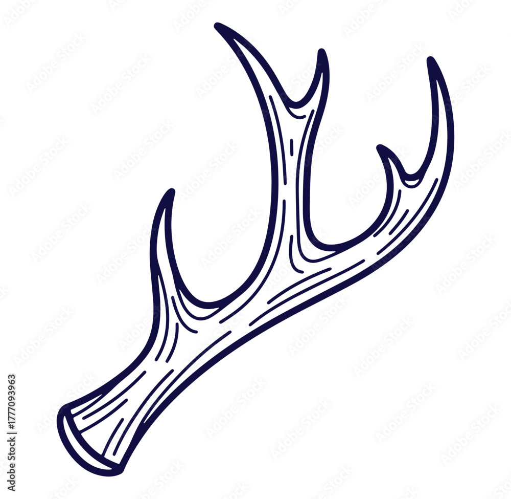 Fototapeta premium Vector illustration of a hand drawn deer antler in a minimalist and stylish design on white